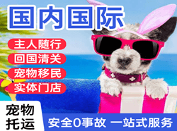 布拉克航空空运国际宠物托运 【国